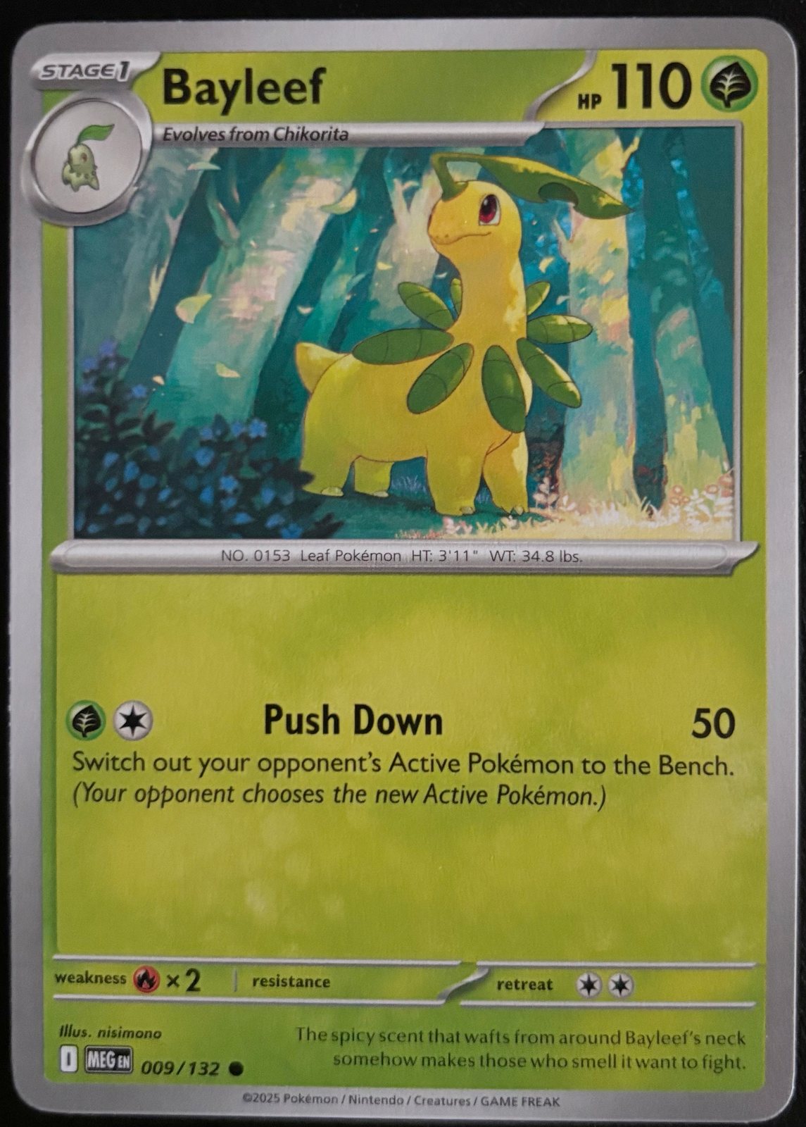 Bayleef 009/132