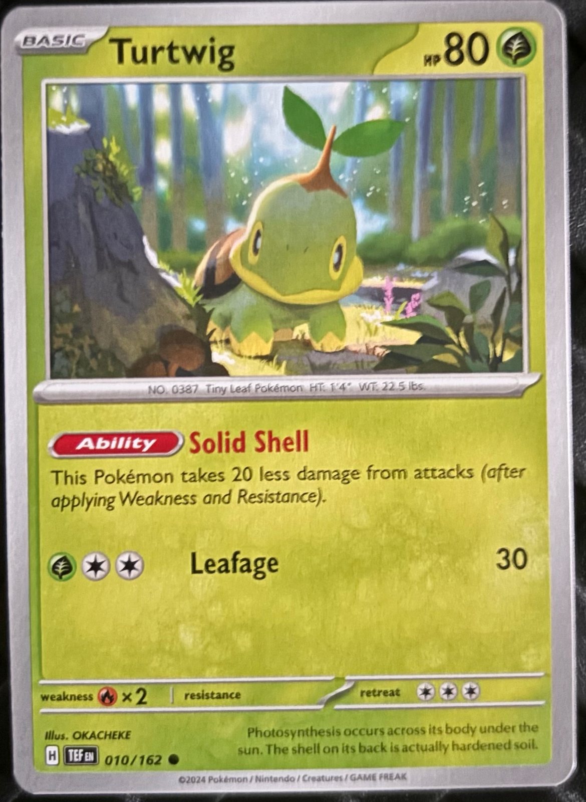 Turtwig 010/162