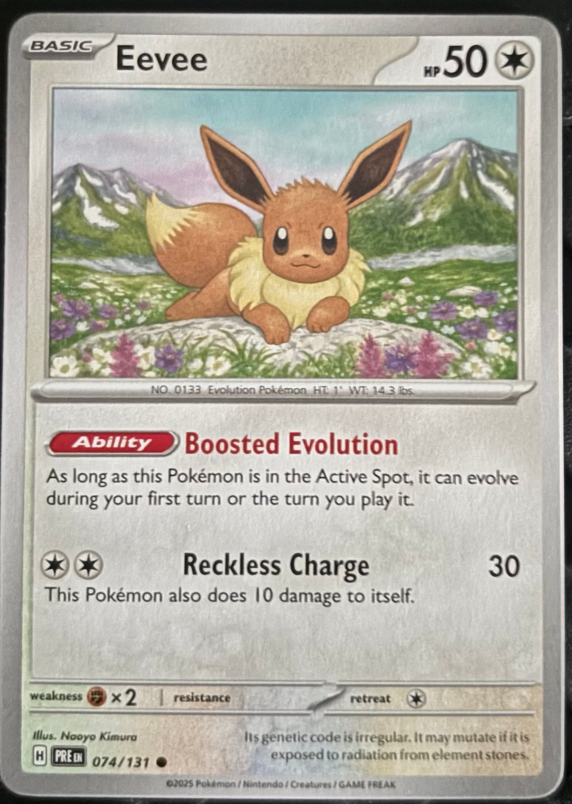 Eevee 074/131