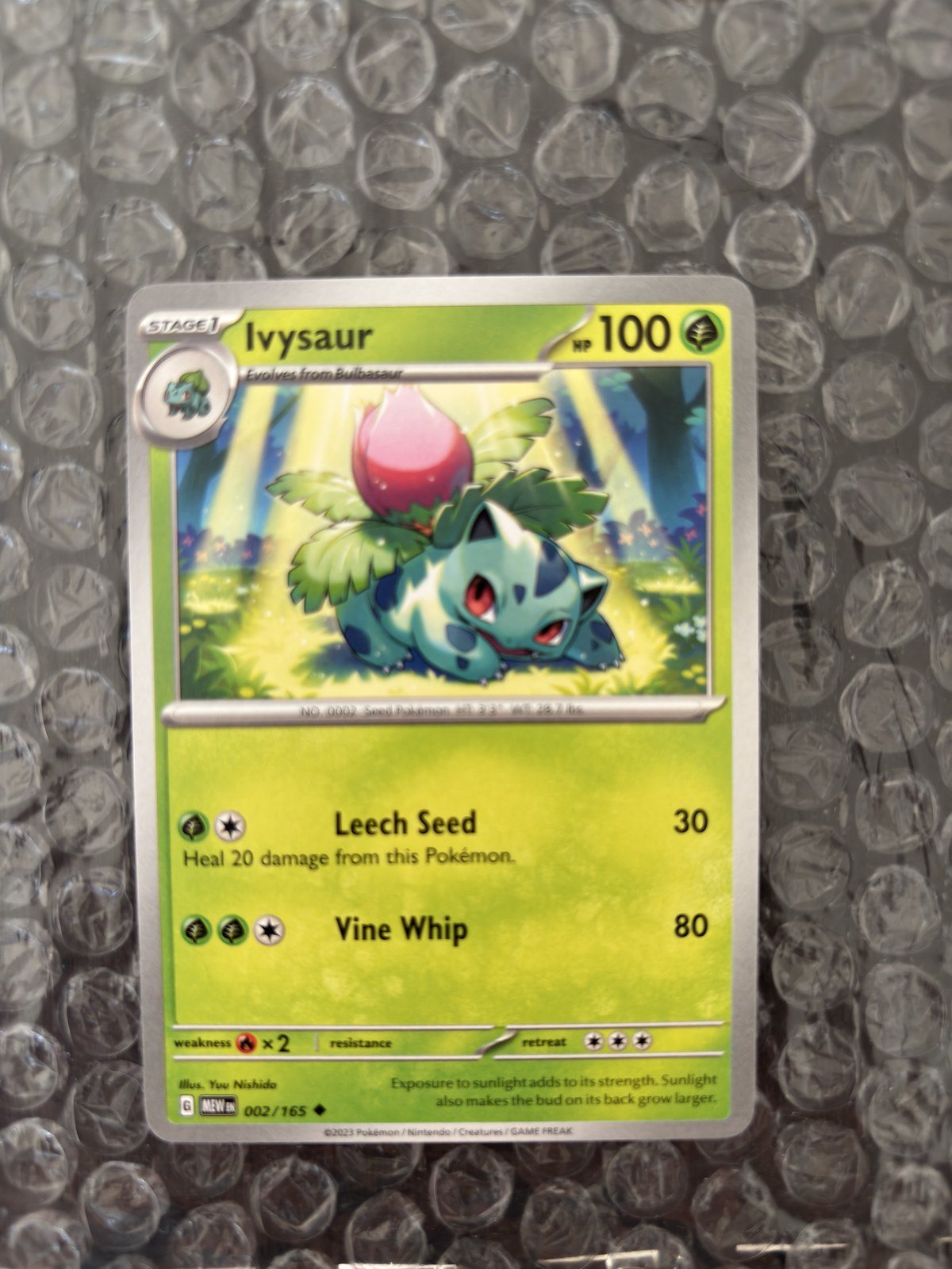 Ivysaur SV: 151