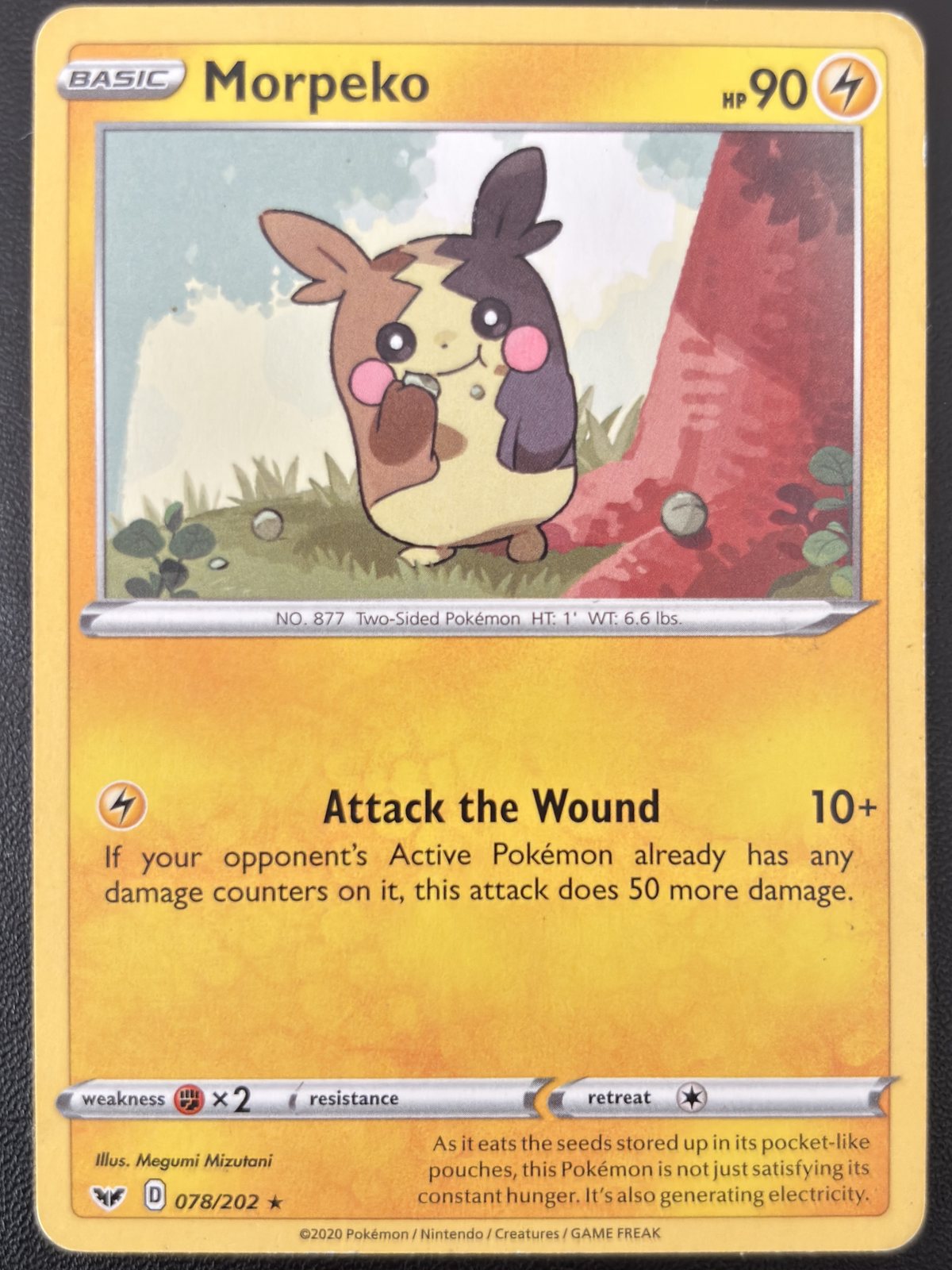 Morpeko 078/202